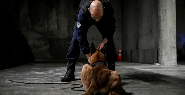 photo  un homme de 27 ans a été arrêté par une brigade cynophile de la police nationale, suspecté de s’en être pris à un de ses voisins vulnérables, à caen (calvados), en pleine nuit, le 29 mars 2026. photo d’illustration.  &copy;  illustration martin roche / ouest-france 