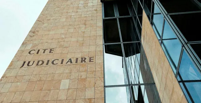 photo  le tribunal judiciaire a condamné le prévenu âgé de 26 ans, d’allonnes, près du mans (sarthe), à un an de prison, avec aménagement sous bracelet électronique..  &copy;  ouest-france 