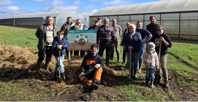 photo  une haie de 100 arbres sur une distance de 100 mètres a été plantée en bordure d’un chemin communal.  &copy;  document remis 