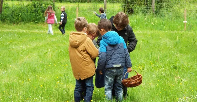 photo  comme chaque année, les jeunes parcourront la plaine de jeux pour la chasse aux œufs.  &copy;  archives ouest-france 