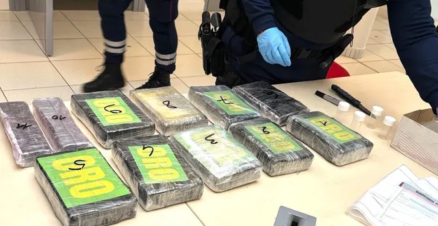 photo  en 2025, les douanes ont saisi 283 kg de drogue dans la région.  &copy;  direction des douanes 