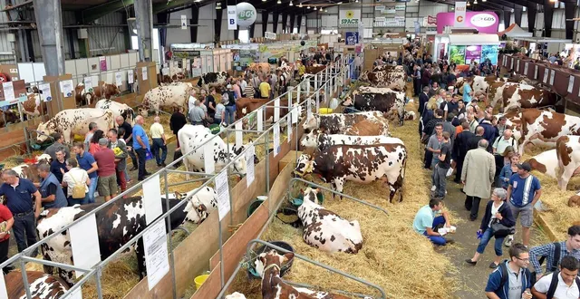 photo  le space réunit chaque année des centaines de bovins, 1 200 exposants et plus de 100 000 visiteurs. (photo d’archives)  &copy;  ouest-france 