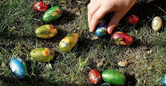 photo  le secours populaire organise une chasse aux œufs solidaire, samedi 4 avril 2026, au parc de chaoué, à allonnes.  (photo d’illustration)  &copy;  franck dubray / ouest-france 
