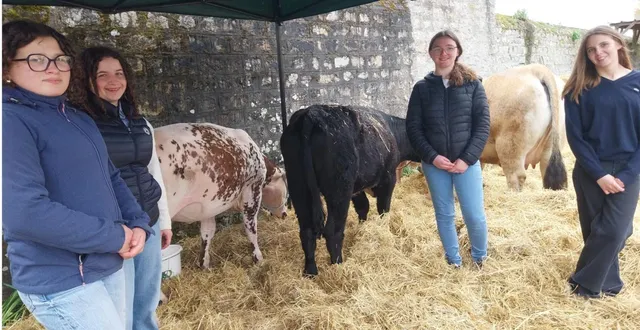 photo  des élèves préparant un bac professionnel agricole présentaient différents animaux de races locales : bovins, caprins, poussins ou ânes.  &copy;  ouest-france 