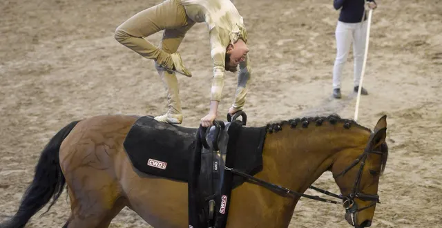 photo  la voltige continue, plus que jamais, de se faire une place importante à saumur.  &copy;  les garennes 