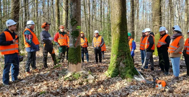 photo  les forestiers ont partagé leur connaissance de la forêt.  &copy;  le maine libre 