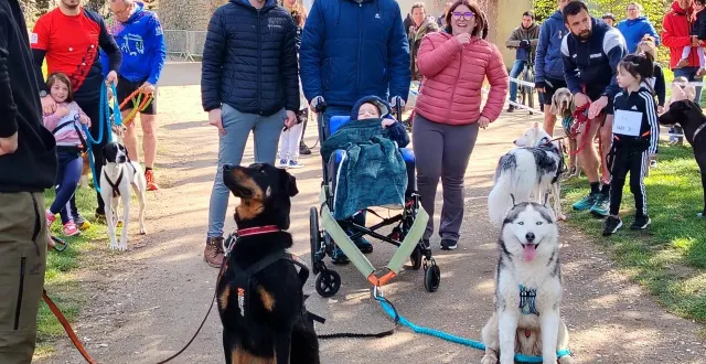 photo  deux chiens de l’association les canidol bressuirais ont tiré le fauteuil de sloan, 3 ans. ses parents l’ont accompagné. ici avec le député du nord deux-sèvres jean-marie fiévet.  &copy;  co – nadège desquiens 