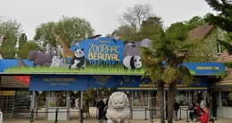 Info insolite  le zooparc de beauval organise un concours de cris d’animaux. 