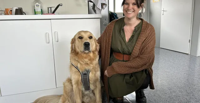 photo  shadow, golden retriever de deux ans et sa maîtresse et infirmière au collège jean- monnet de flers, floriane michaux.  &copy;  ouest-france 