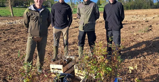 photo  cédric belliot et nathan, techniciens forestiers, avec deux stagiaires enzo et émilien ont planté près de huit cents plants de deux ans à la terriotière, à louplande (sarthe).  &copy;  ouest-france 