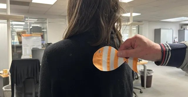 photo  voici quelques poissons d’avril repérés en sarthe ce mercredi 1er avril 2026.  &copy;  le maine libre 