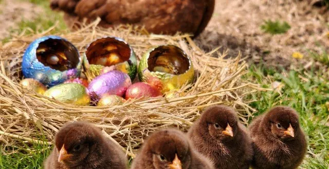 photo  des poissons d’avril à se tordre de rire cette année.  &copy;  parc animalier d’écouves 