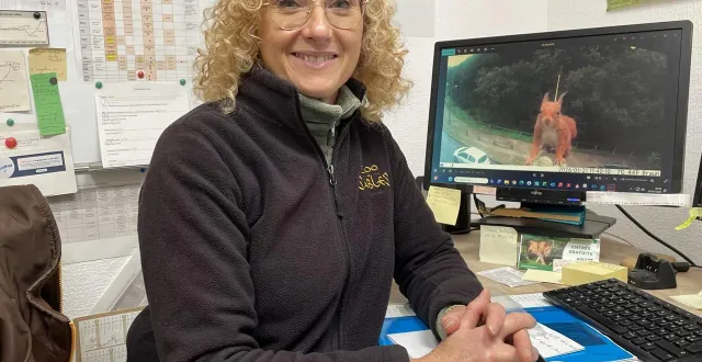 photo  dans son bureau, sandrine silhol, directrice scientifique du zoo des sables-d'olonne (vendée), consulte les photos et vidéos captées sur les écuroducs.  &copy;  ouest-france 